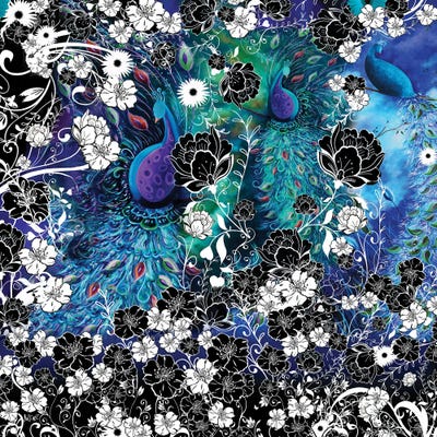 Peacock Garden Square by Juleez framed wall art