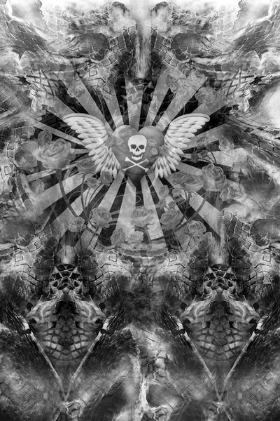 Skull Heart by Juleez framed canvas print