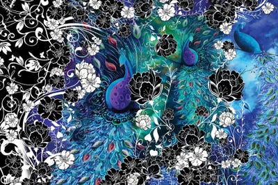 Peacock Flowers by Juleez framed wall art