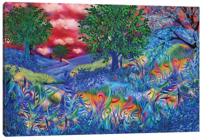 Sunset Fields Canvas Art Print - Juleez