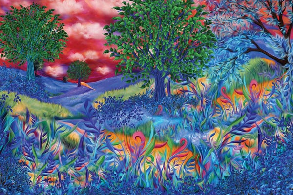 Juleez: Sunset Fields by Juleez