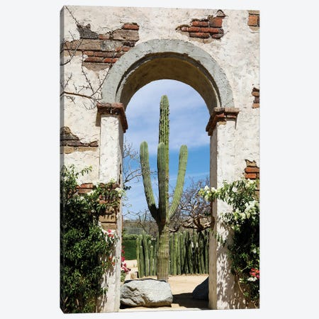 Cactus In Archway Of Old Building. Cabo San Lucas, Mexico. Canvas Print #JMC21} by Julien McRoberts Canvas Art