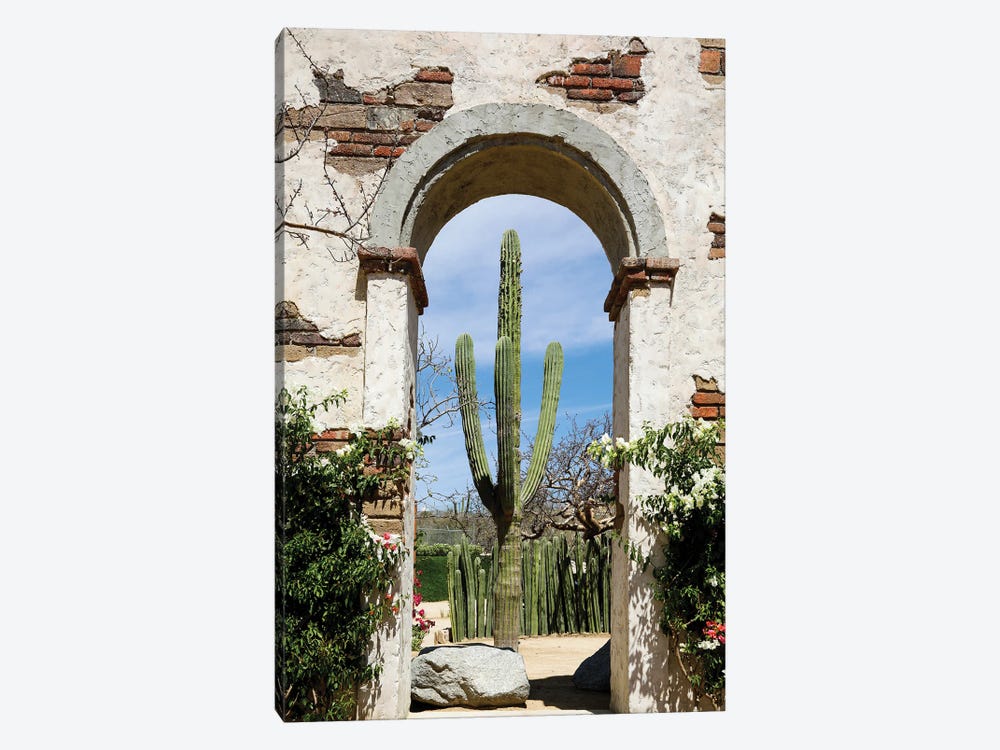 Cactus In Archway Of Old Building. Cabo San Lucas, Mexico. by Julien McRoberts 1-piece Art Print