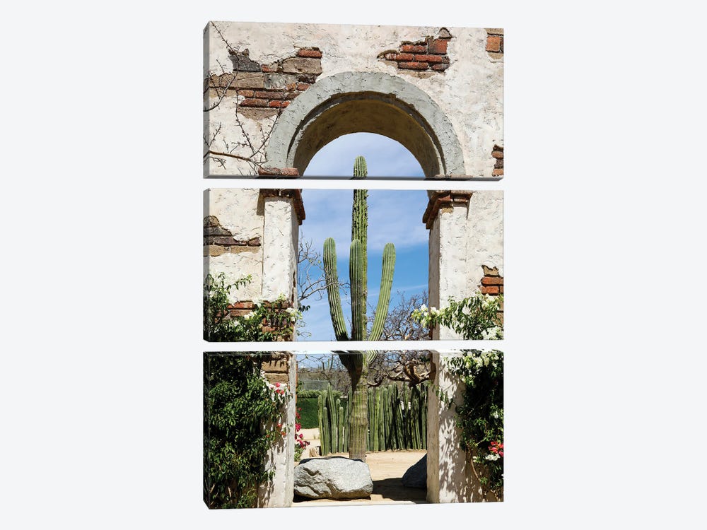 Cactus In Archway Of Old Building. Cabo San Lucas, Mexico. by Julien McRoberts 3-piece Art Print