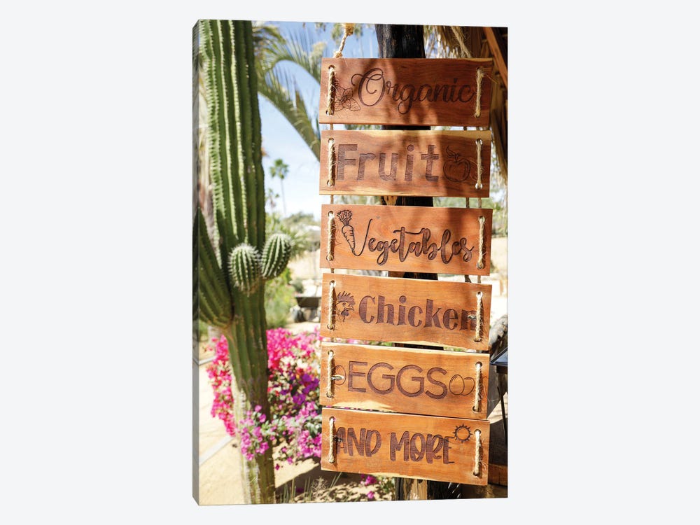 Sign For Farm Produce. Cabo San Lucas, Mexico. by Julien McRoberts 1-piece Art Print