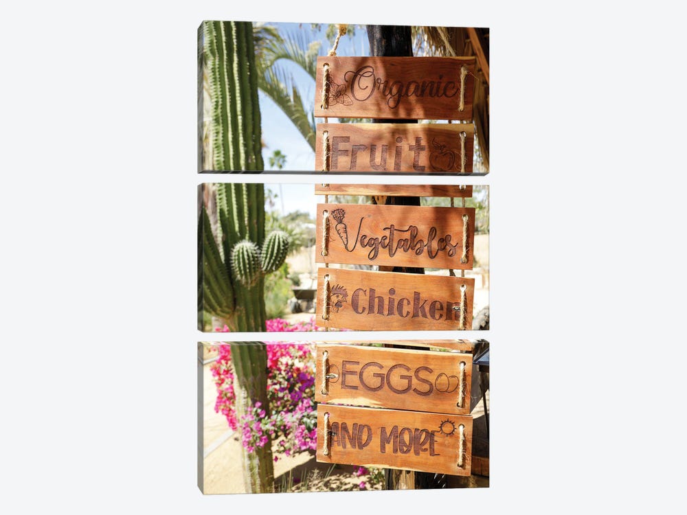 Sign For Farm Produce. Cabo San Lucas, Mexico. by Julien McRoberts 3-piece Canvas Art Print