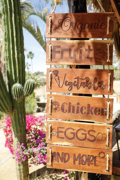 Cabo San Lucas: Sign For Farm Produce. Cabo San Lucas, Mexico. by Julien McRoberts