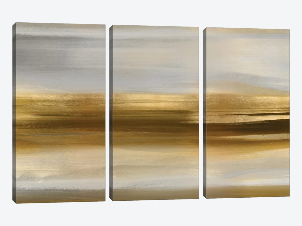 Gold Rush III by Jake Messina 3-piece Canvas Artwork