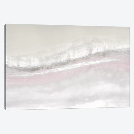 Flowing Blush Canvas Print #JME25} by Jake Messina Canvas Art Print
