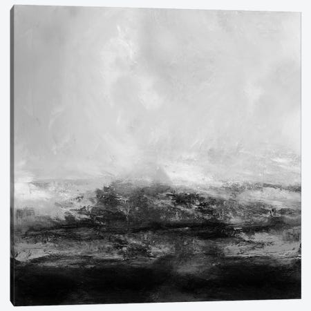 Terra in Grey Canvas Print #JME47} by Jake Messina Art Print