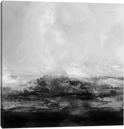 Terra in Grey Canvas Art Print - Black & White Abstract Art