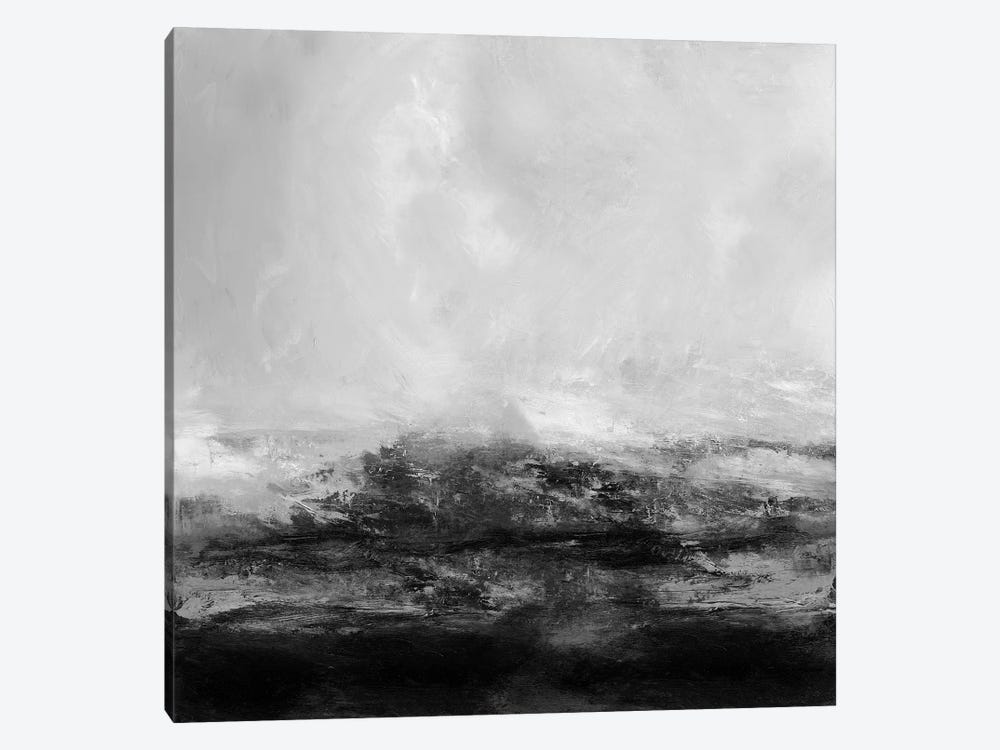 Terra in Grey by Jake Messina 1-piece Canvas Print