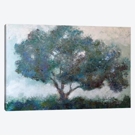 Mountaintop Tree Canvas Print #JMF23} by Joseph Marshal Foster Canvas Art Print