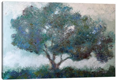 Mountaintop Tree Canvas Art Print - Joseph Marshal Foster
