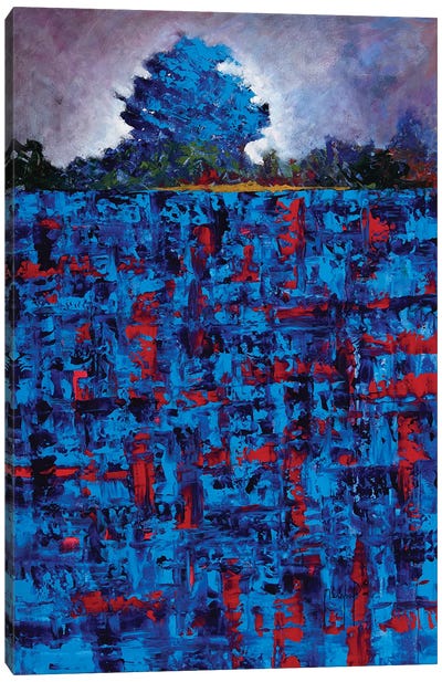 Blue Daze Canvas Art Print - Joseph Marshal Foster