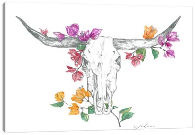 Cow Skull II Canvas Art Print