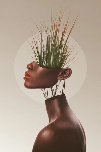 Large Modern Art - Canvas Prints: Sationem Vitae by Jordan Marchand