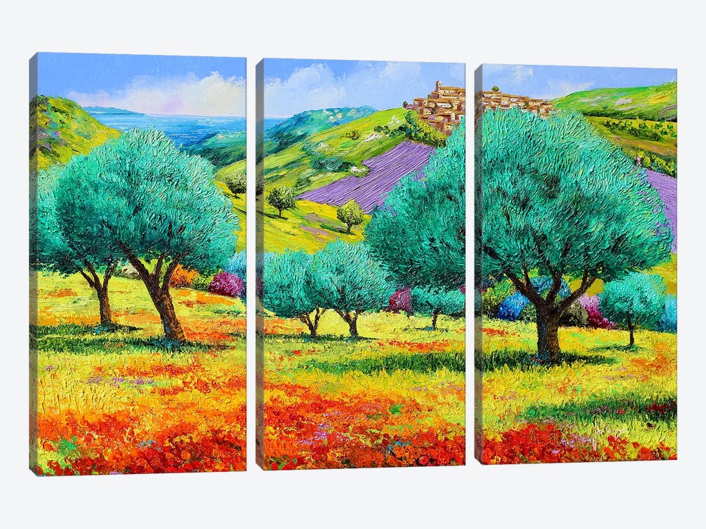 Olive Grove Facing The Sea by Jean-Marc Janiaczyk 3-piece Canvas Wall Art