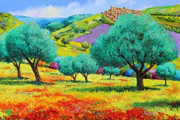 Herbs: Olive Grove Facing The Sea by Jean-Marc Janiaczyk