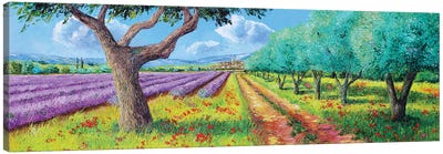 Olive Trees And Lave Canvas Art Print - Lavender Art