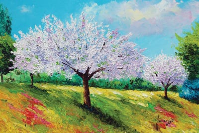 Orchard Blossom by Jean-Marc Janiaczyk canvas print