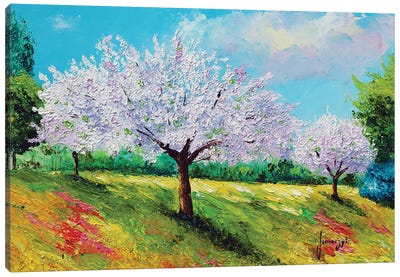 Orchard Blossom Canvas Art Print - Jean-Marc Janiaczyk