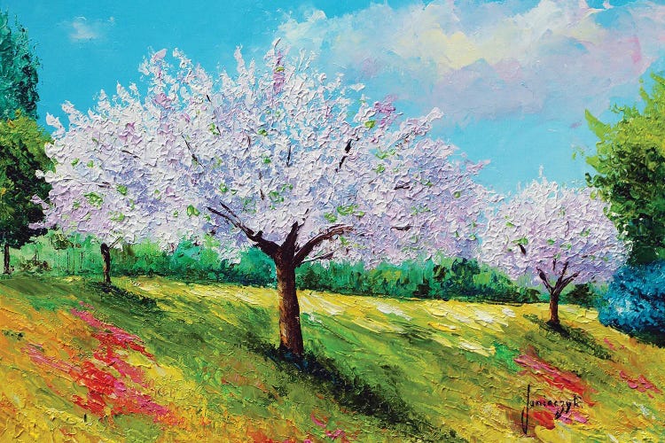 Orchard Blossom by Jean-Marc Janiaczyk wall art