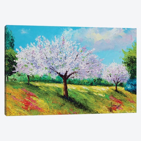 Orchard Blossom Canvas Print #JMJ13} by Jean-Marc Janiaczyk Canvas Wall Art