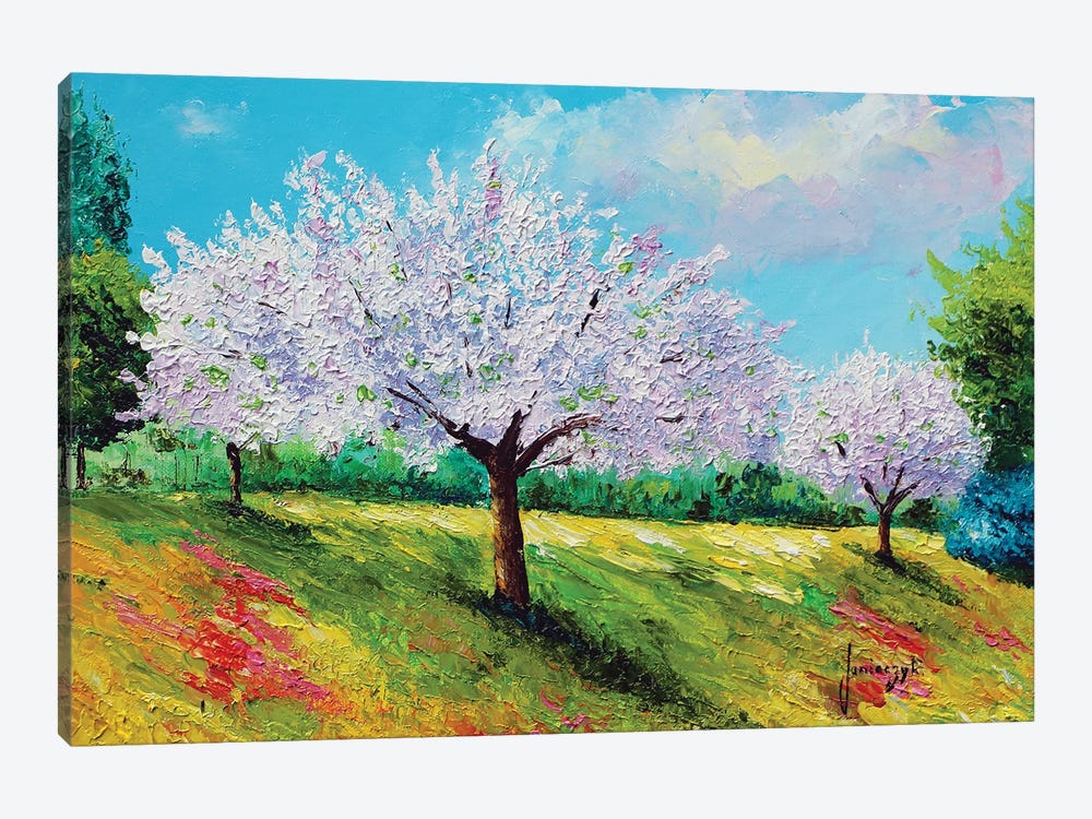 Orchard Blossom by Jean-Marc Janiaczyk 1-piece Canvas Art