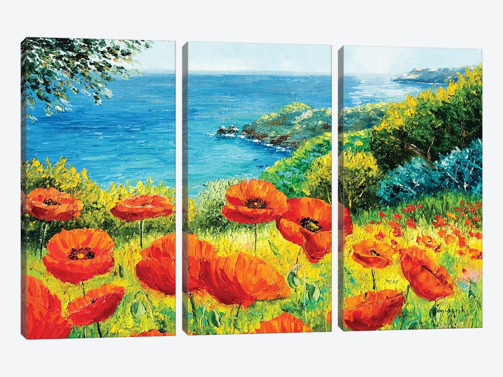 Poppies Over The Sea by Jean-Marc Janiaczyk 3-piece Canvas Print