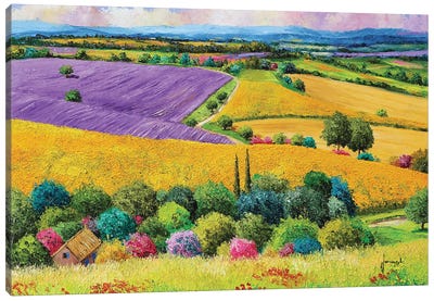 Provencal Fields Canvas Art Print - Lavender Art