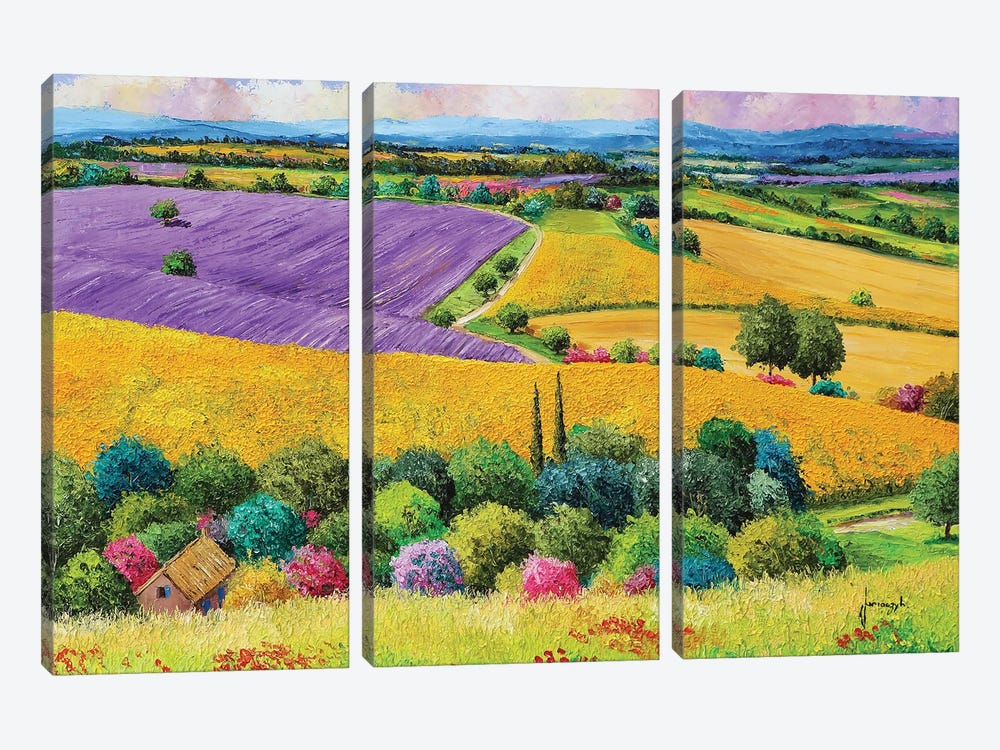 Provencal Fields by Jean-Marc Janiaczyk 3-piece Canvas Art