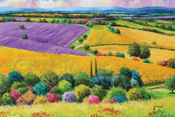 Providence: Provencal Fields by Jean-Marc Janiaczyk
