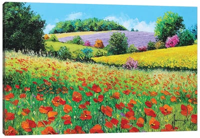 Provencal Flowers Canvas Art Print