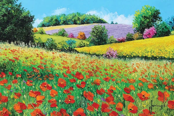 Providence: Provencal Flowers by Jean-Marc Janiaczyk