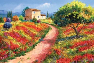 Provencal House by Jean-Marc Janiaczyk canvas print