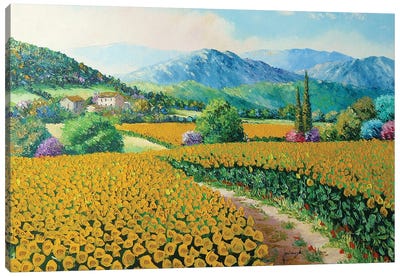 Sunflowers Canvas Art Print - Jean-Marc Janiaczyk