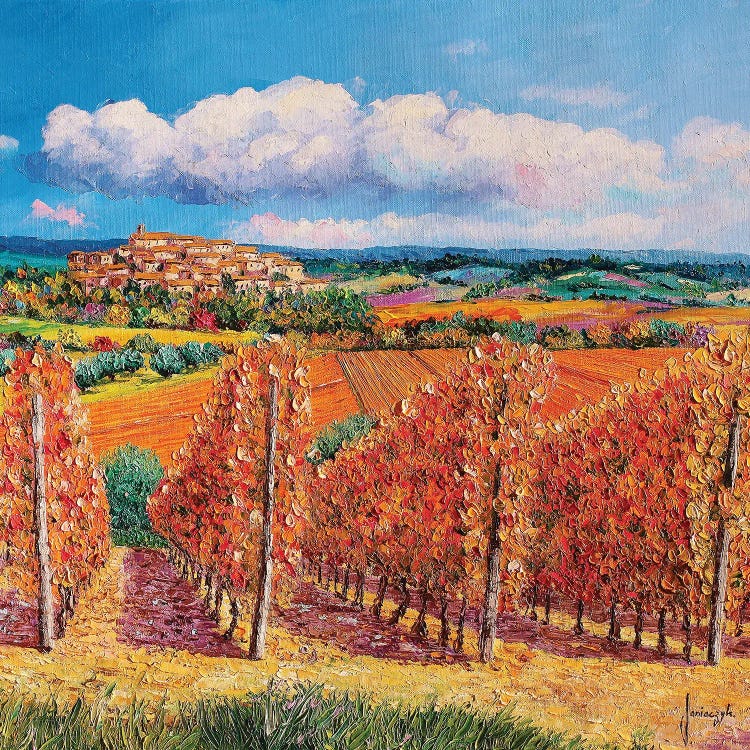 Vineyards In Autumn by Jean-Marc Janiaczyk wall art