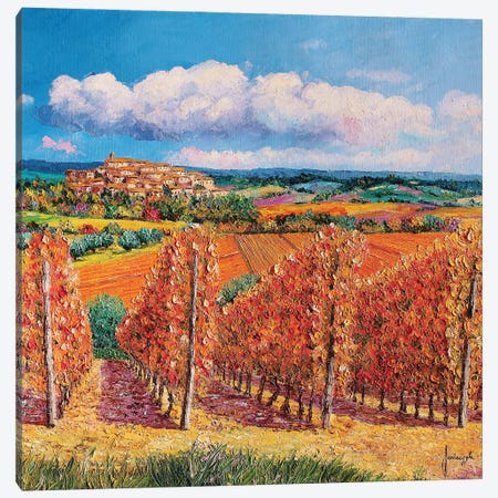 Vineyards In Autumn Canvas Print #JMJ25} by Jean-Marc Janiaczyk Canvas Wall Art