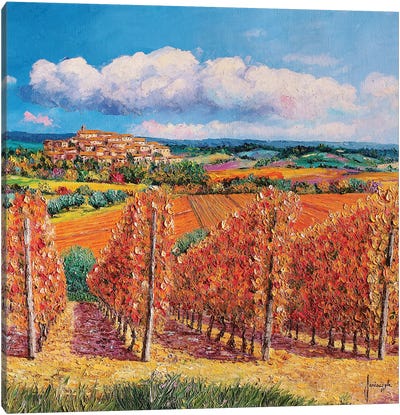 Vineyards In Autumn Canvas Art Print - Vineyard Art