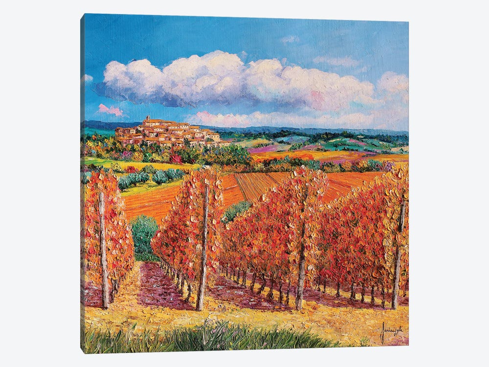 Vineyards In Autumn by Jean-Marc Janiaczyk 1-piece Canvas Print