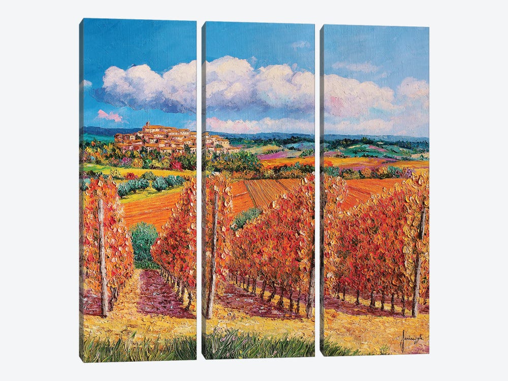 Vineyards In Autumn by Jean-Marc Janiaczyk 3-piece Canvas Art Print