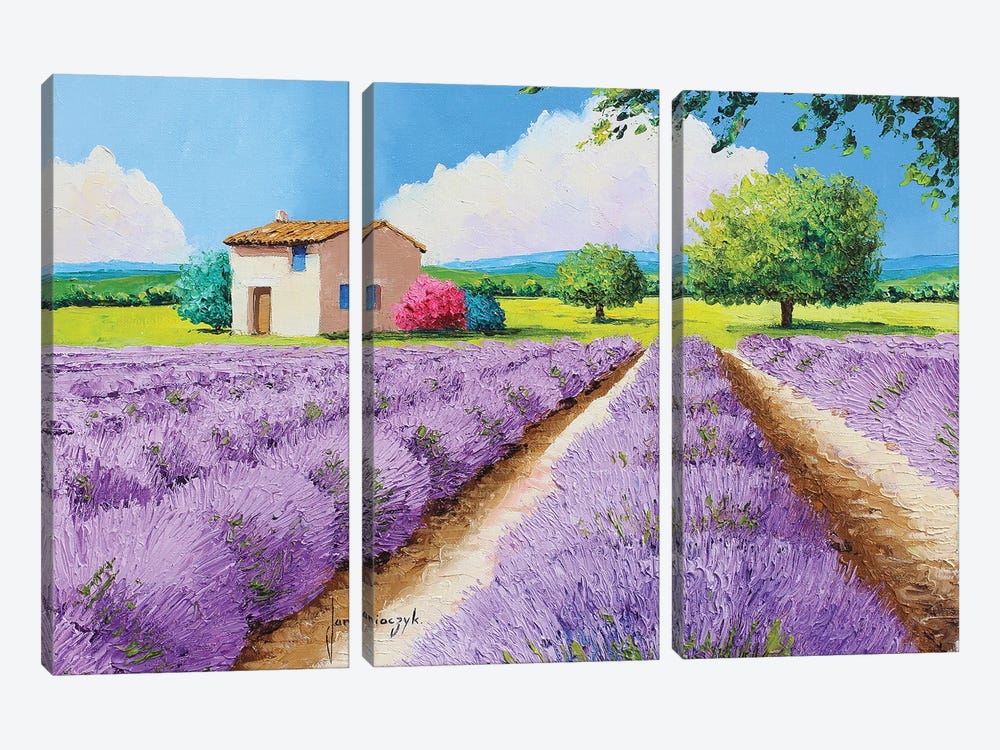 House With Blue Shutters In Provence by Jean-Marc Janiaczyk 3-piece Canvas Art Print