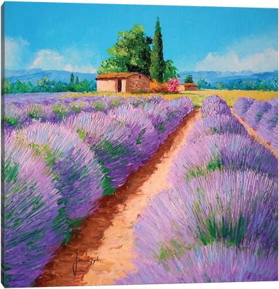 Lavender Scent Canvas Art Print - Herb Art