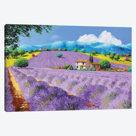 Lavenders Under Sunshine Canvas Print #JMJ7} by Jean-Marc Janiaczyk Canvas Print