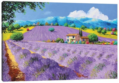 Lavenders Under Sunshine Canvas Art Print - Herb Art