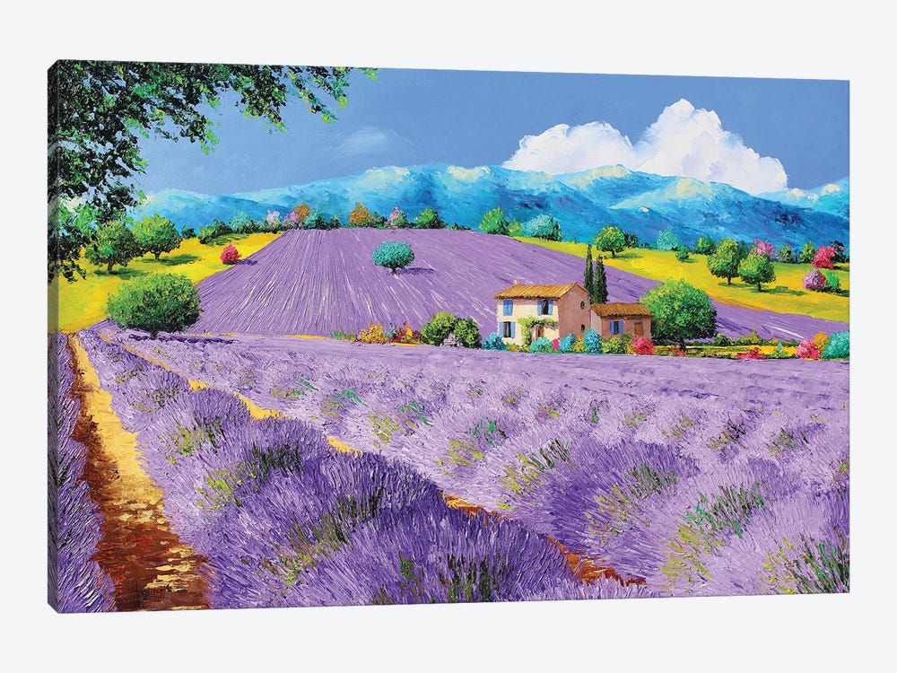 Lavenders Under Sunshine by Jean-Marc Janiaczyk 1-piece Canvas Artwork