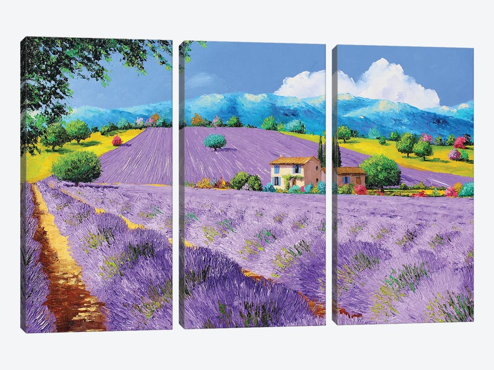 Lavenders Under Sunshine by Jean-Marc Janiaczyk 3-piece Canvas Wall Art