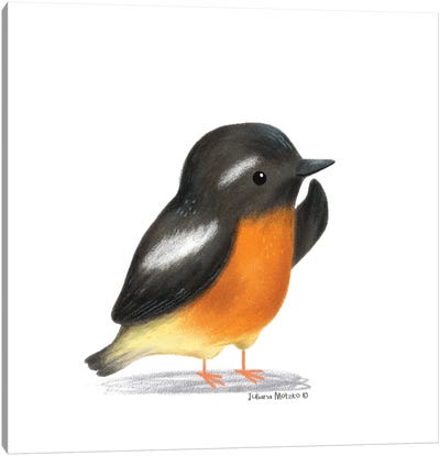 Mugimaki Flycatcher Bird Canvas Art Print - Juliana Motzko