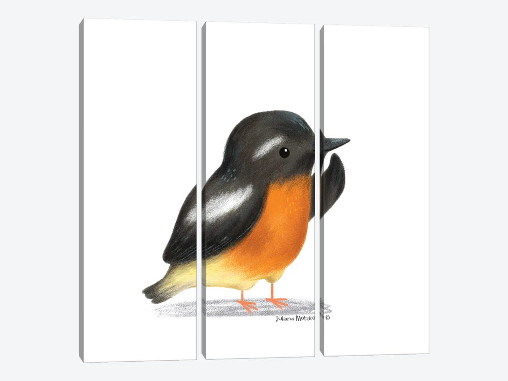 Mugimaki Flycatcher Bird 3-piece Art Print